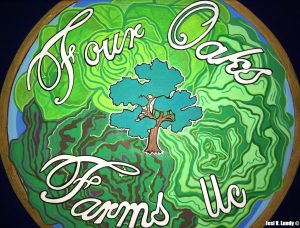 Hand Painted Logo Design created for Four Oaks Farms
